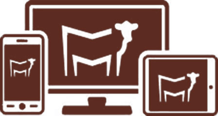 Data Management