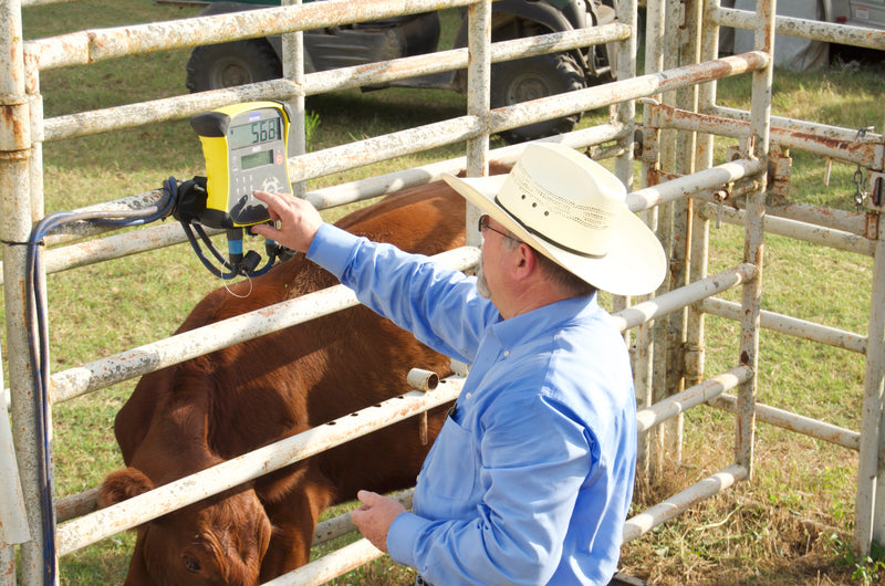 Tru-Test XRS2i Stick Reader | CattleScales.com