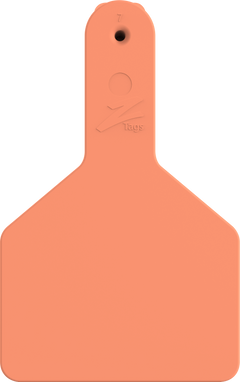 Z1 Calf Tag - Long Neck Blank Bags of 25