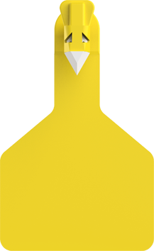 Z1 Calf Tag - Long Neck Blank Bags of 25